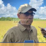 Kepala Distanak Kukar, Muhammad Taufik