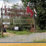 Kampung Kopi Luwak