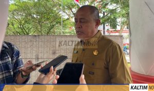 Camat Samboja, Damsik