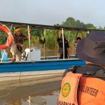 Tragis, Anak 10 Tahun Diterkam Buaya di Kutai Timur