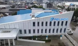 Pelindo