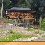 Wisata Bukit Mahoni