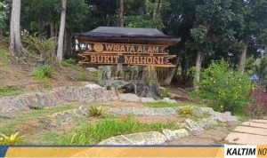 Wisata Bukit Mahoni