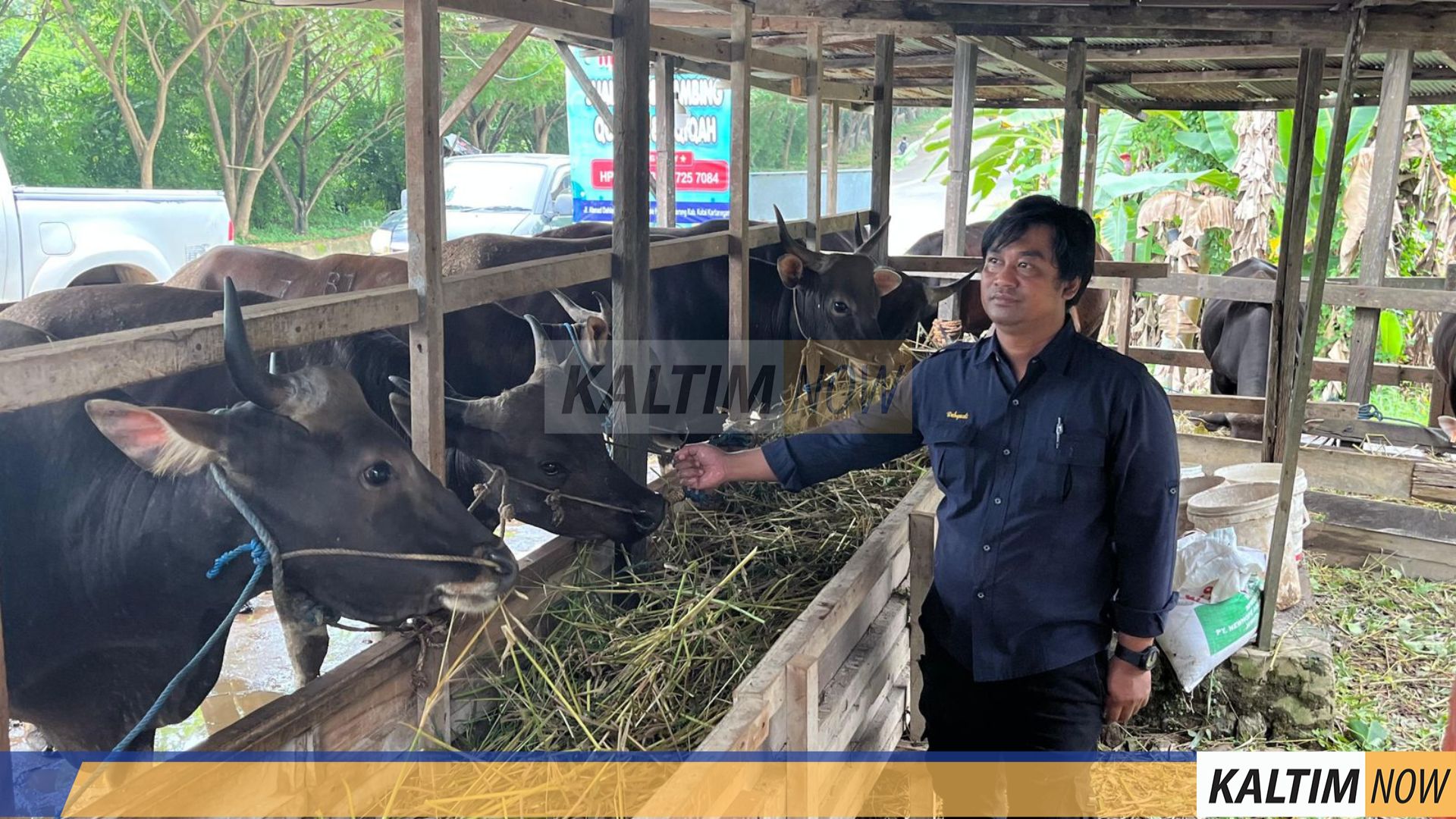 Pastikan Hewan Sehat, Distanak Kukar Turun Langsung ke Lapangan