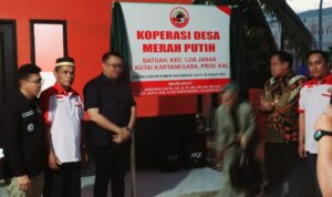 Kukar Genjot Ketahanan Pangan, Bupati Aulia Tanam Jagung di Lahan Pasca Tambang