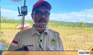 Kepala Distanak Kukar, Muhammad Taufik