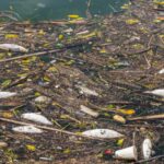 Foto: Potret pencemaran sungai di Indonesia. Sumber: Istimewa. Foto: Potret pencemaran sungai di Indonesia. Sumber: Istimewa.