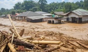 Foto: Ribuan kayu gelondongan terseret arus banjir bandang di Kota Padang, Sumbar. Sumber: Istimewa.
