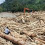 Foto: Kayu gelondongan yang terbawa arus banjir. Sumber: Istimewa.